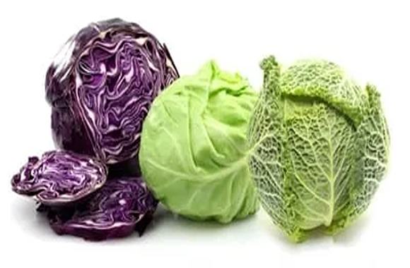 تصویر 5 از قیمت خرید کلم سفید خام + فروش ویژه
